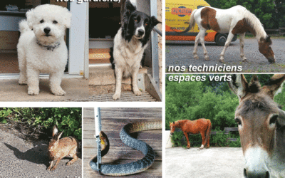 Newsletter de Mai 2022 : La QVT chez Acrotir Développement