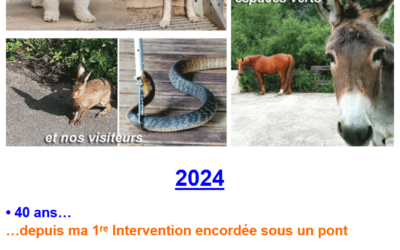 Nos collaborateur les plus inattendus vous souhaite une excellente nouvelle année