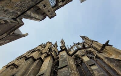 La Réunion des Professions Grand Est